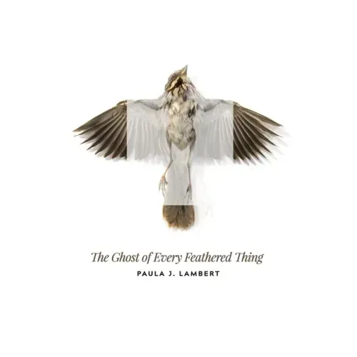 The Ghost of Every Feathered Thing