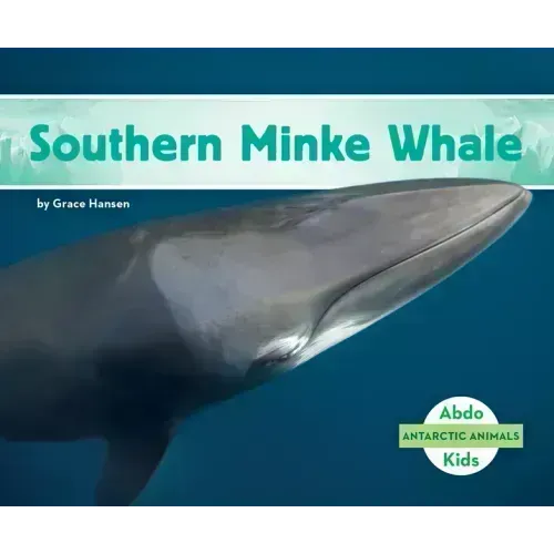 Southern Minke Whale