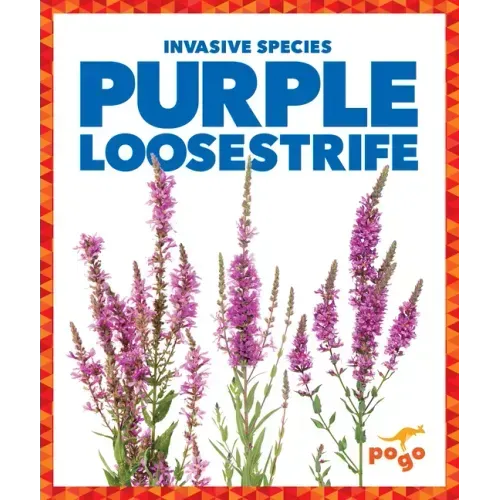 Purple Loosestrife