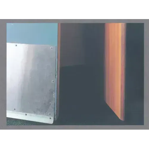 Ron Jude: Other Nature