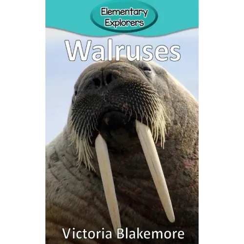 Walruses