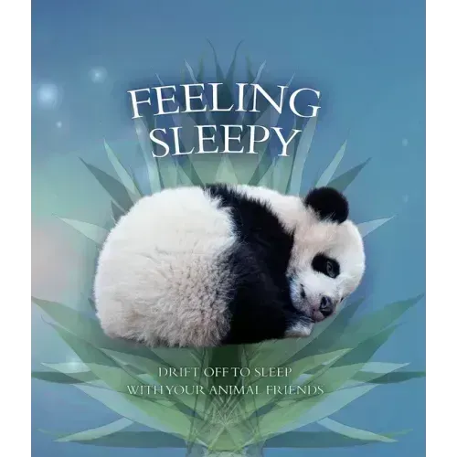 Feeling Sleepy: Drift Off to Sleep with Your Animal Friends
