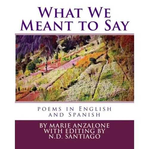 What We Meant to Say: poems in English and Spanish