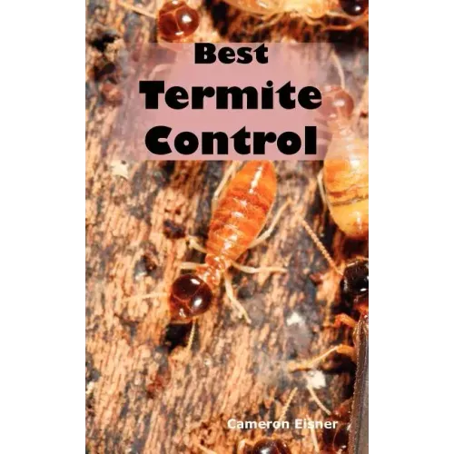 Best Termite Control: All You Need to Know about Termites and How to Get Rid of Them Fast