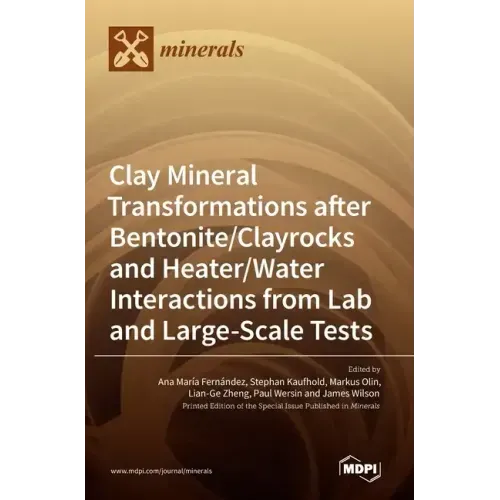 Clay Mineral Transformations after Bentonite/Clayrocks and Heater/Water Interactions from Lab and Large-Scale Tests