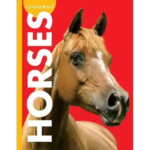 Curious about Horses