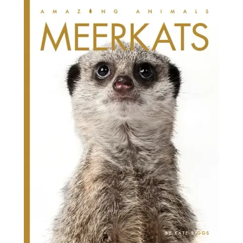 Meerkats