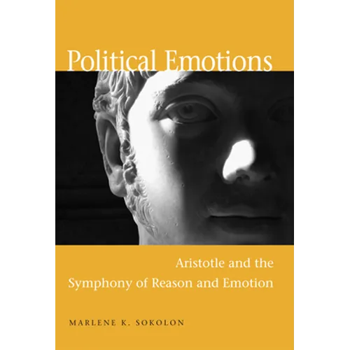 Political Emotions
