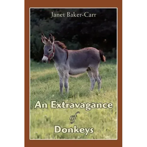 An Extravagance of Donkeys
