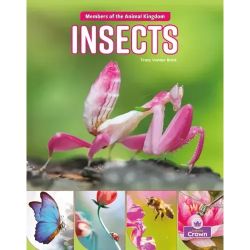 Insects