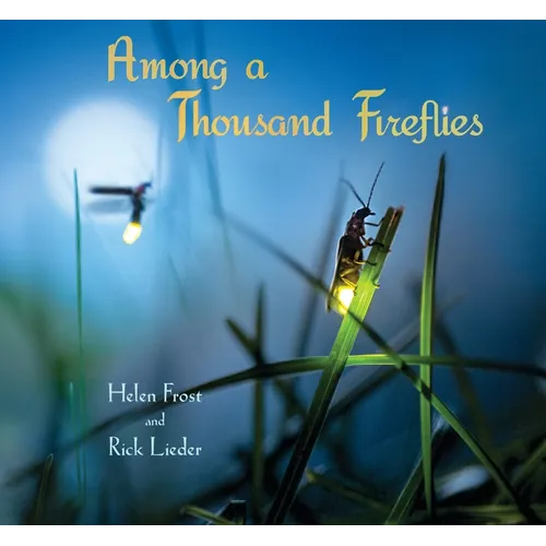 Among a Thousand Fireflies