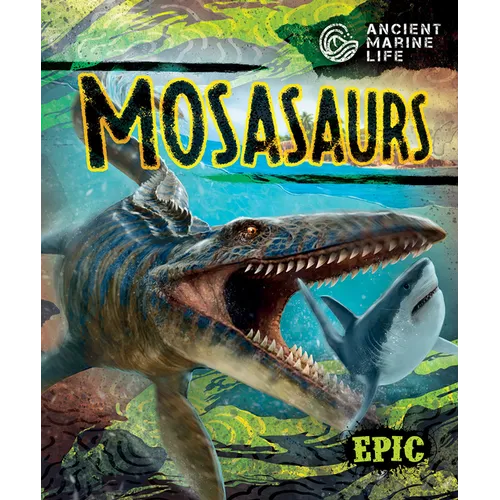 Mosasaurs