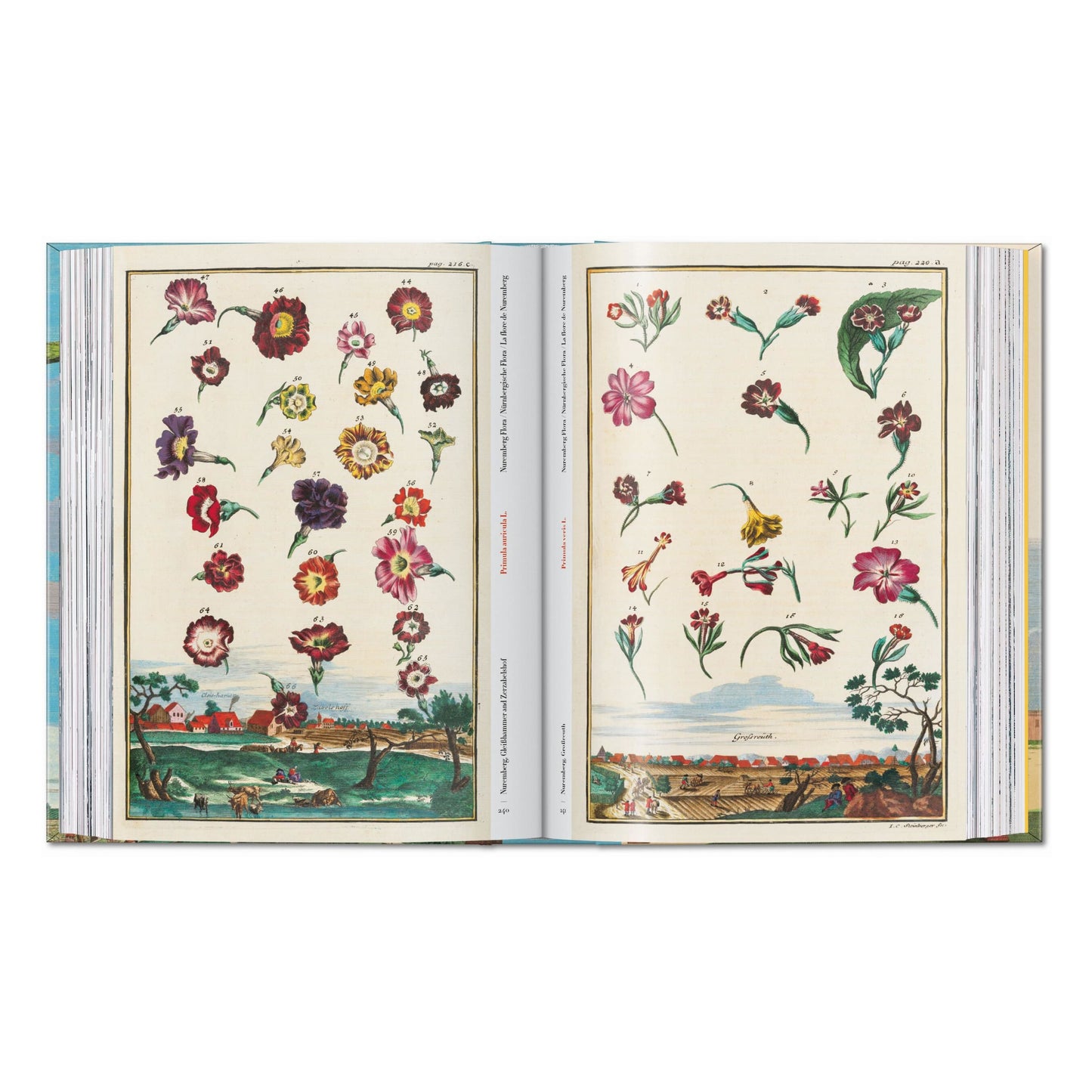 J. C. Volkamer. The Book of Citrus Fruits. 45th Ed. (German, French, English) Book
