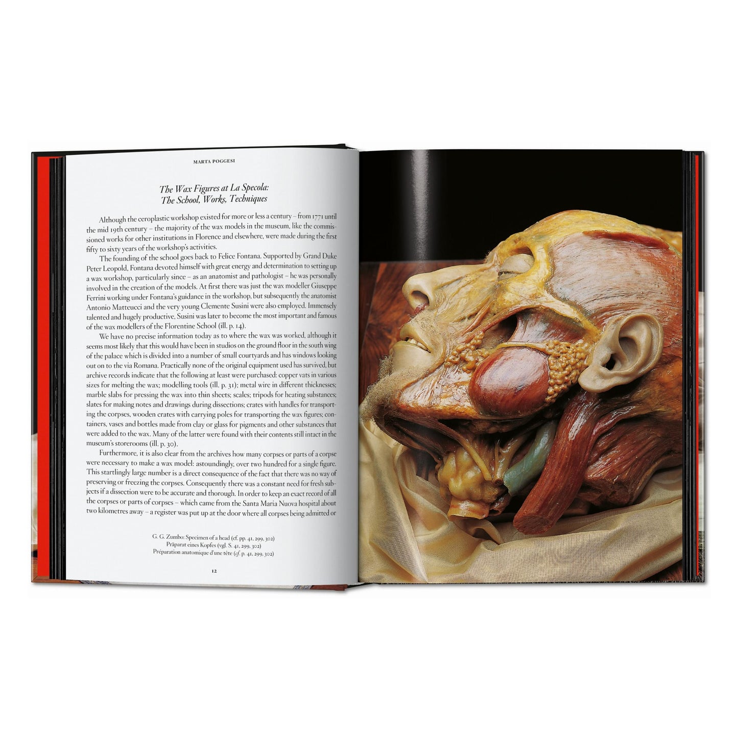 Anatomical Waxes. 45th Ed. (German, French, English) Book