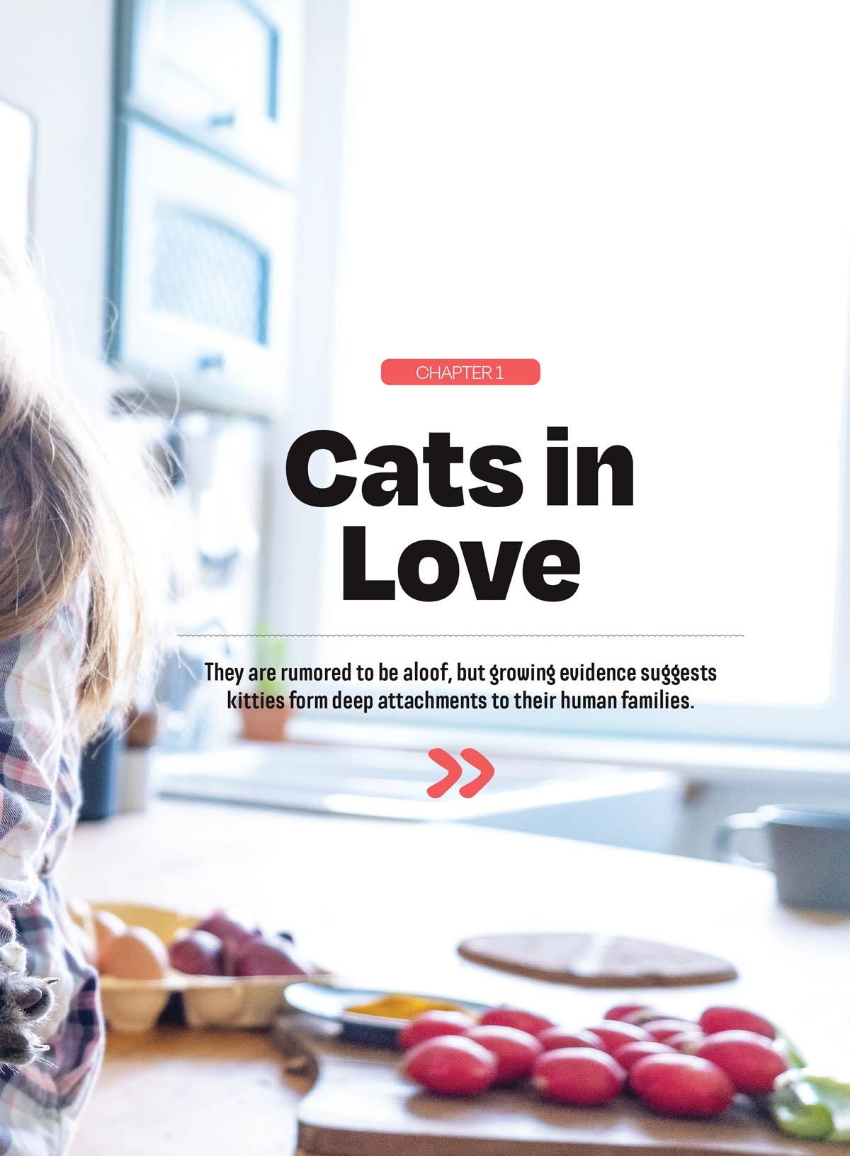 Inside Your Cat’s Mind - Essential Tips For Bonding, Communication, Understanding Emotional Unique Needs, Creating A Happy Cat-Friendly Home, Strengthening Your Feline Companionship & More!