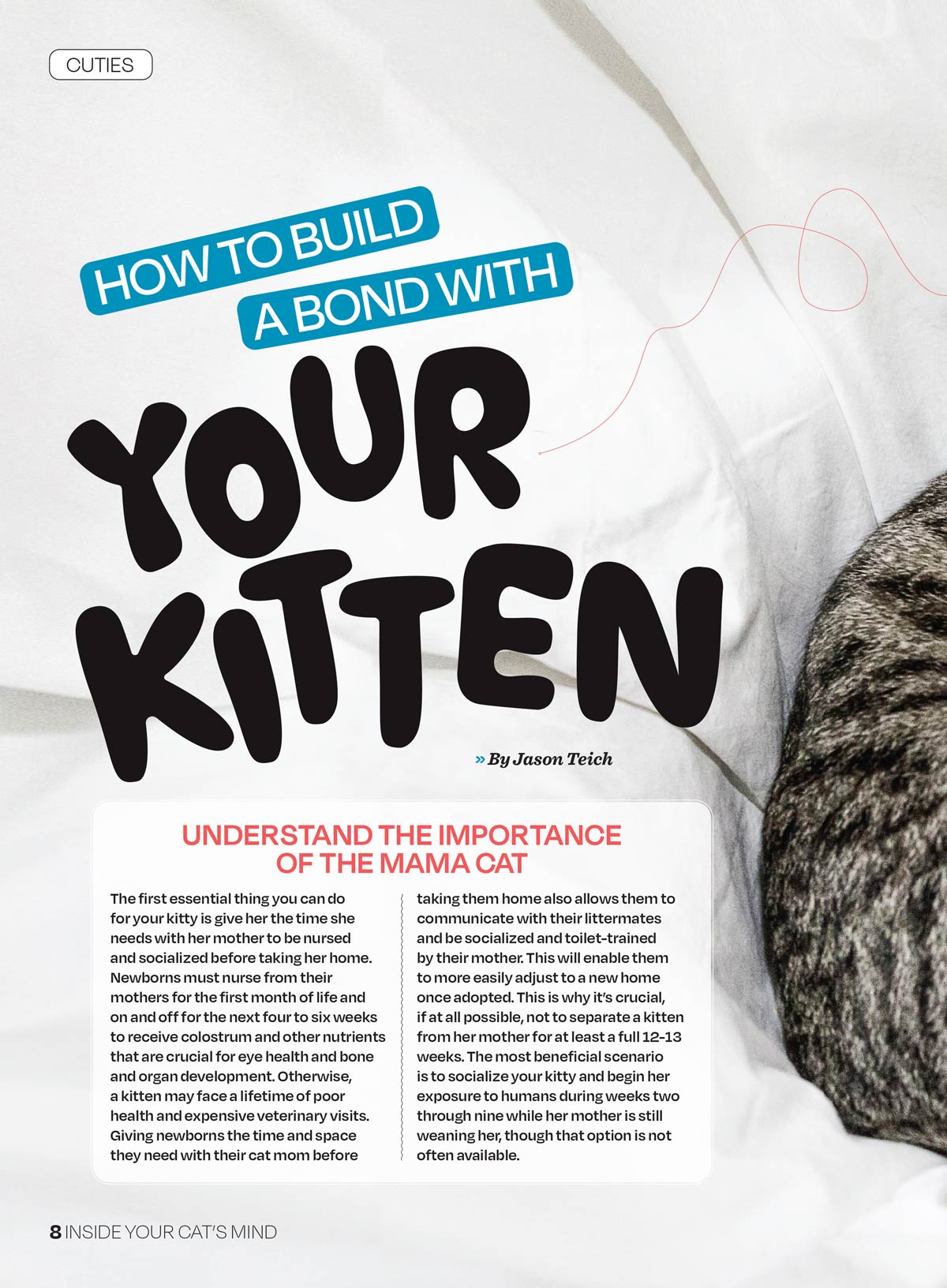 Inside Your Cat’s Mind - Essential Tips For Bonding, Communication, Understanding Emotional Unique Needs, Creating A Happy Cat-Friendly Home, Strengthening Your Feline Companionship & More!