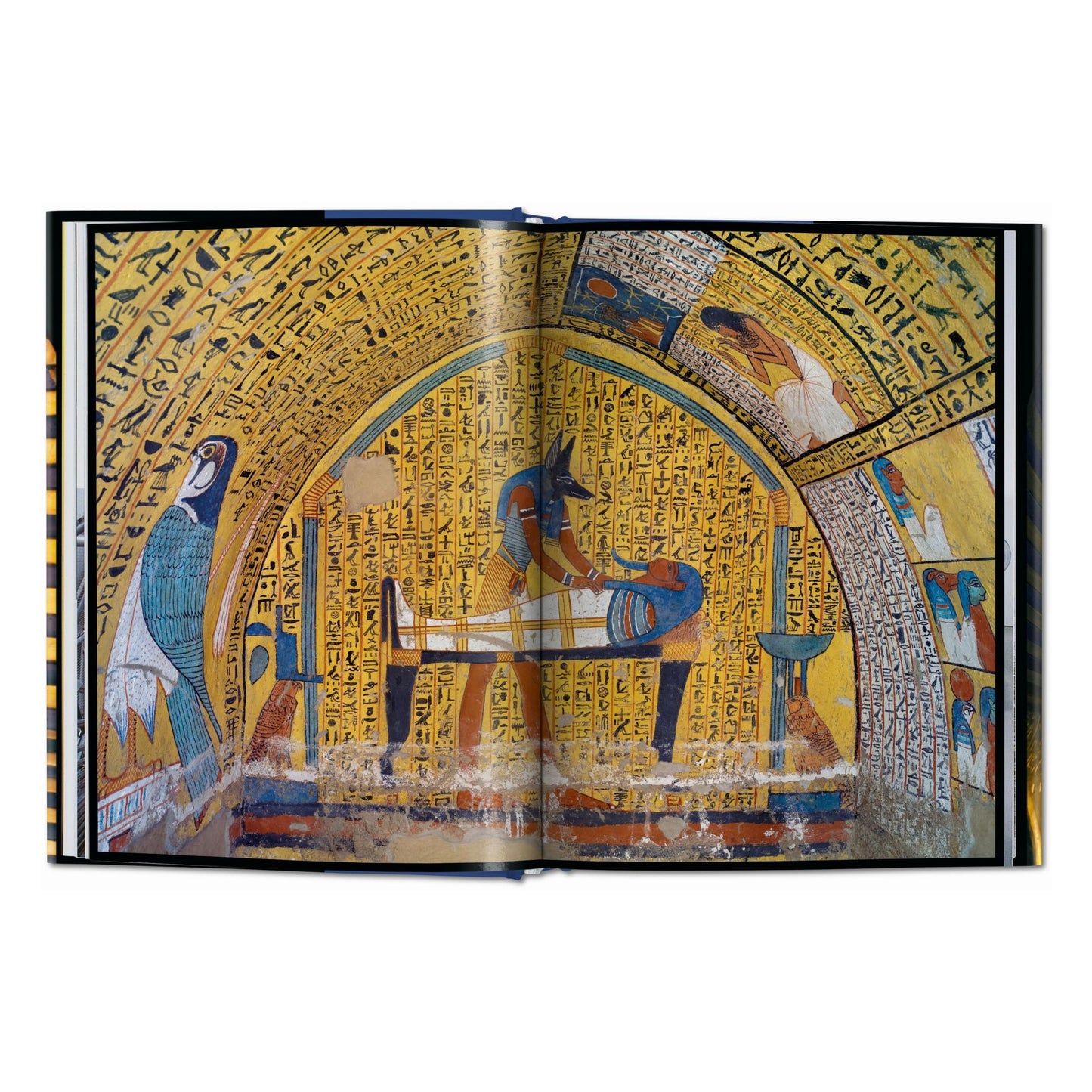 King Tut. The Journey through the Underworld (English) Book