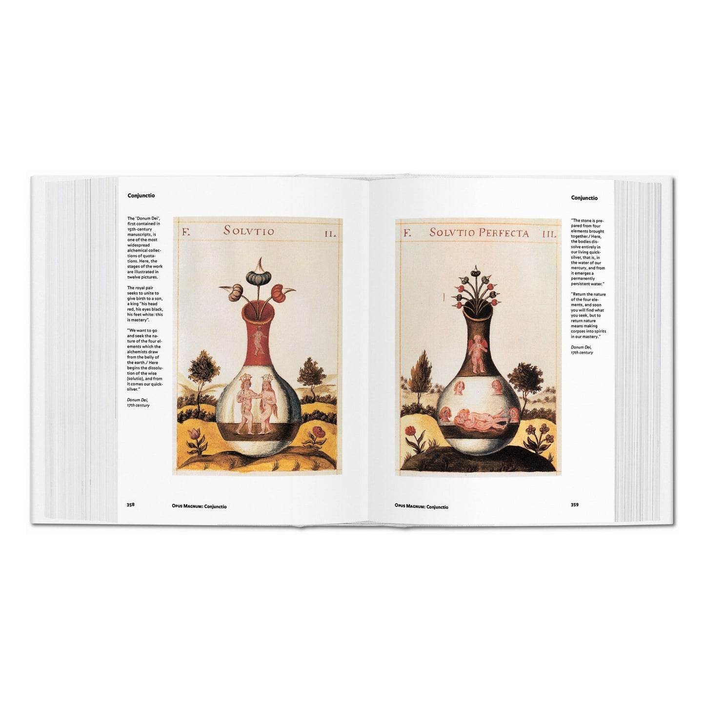 Alchemy & Mysticism (English) Book