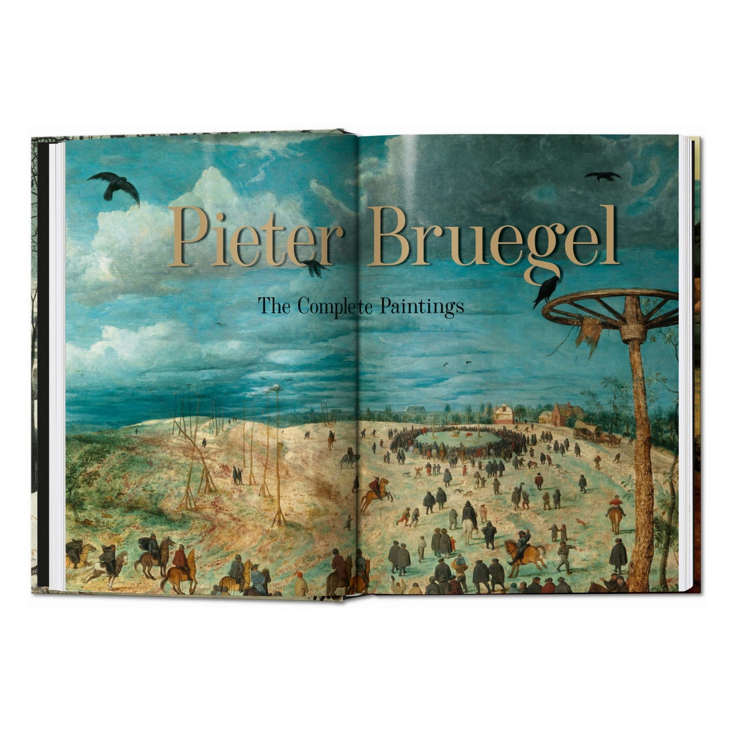 Bruegel. The Complete Paintings. 45th Ed. (English) Book