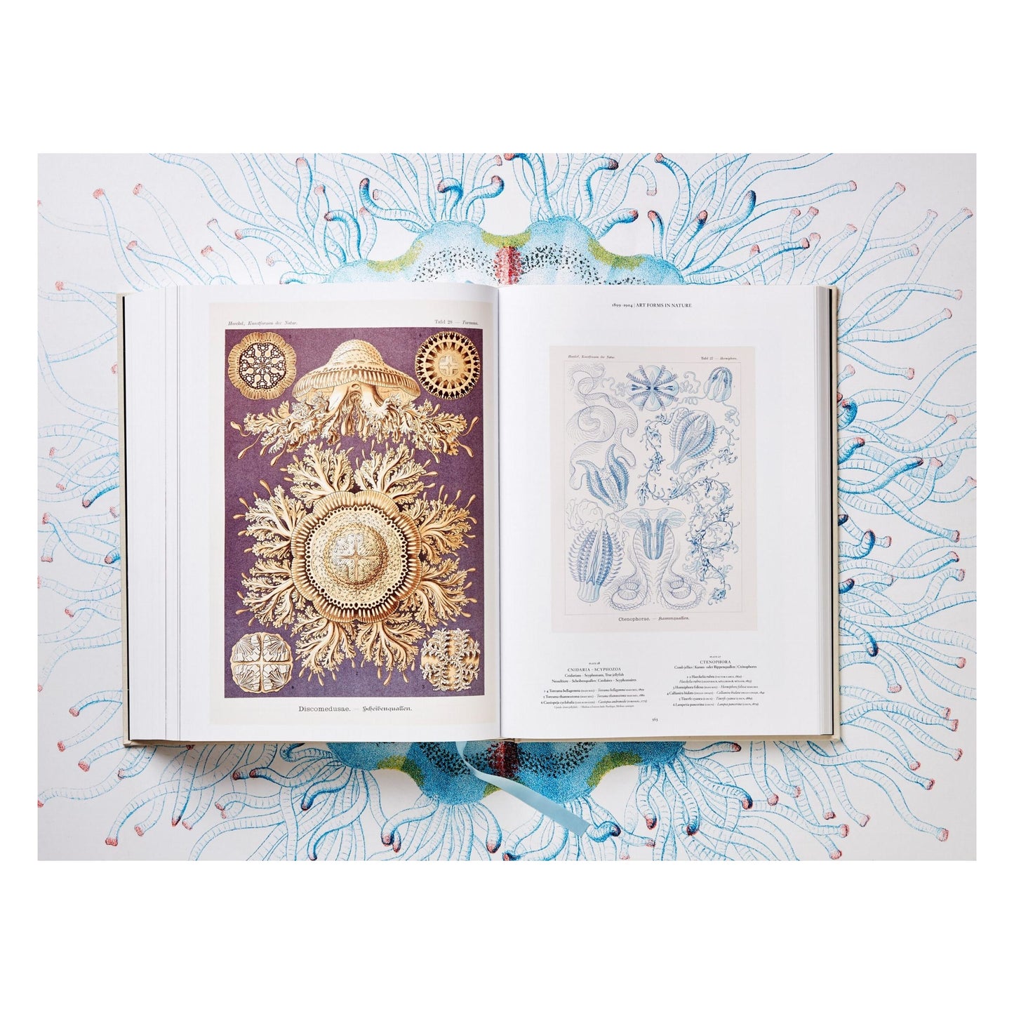 The Art and Science of Ernst Haeckel (German, French, English) Book