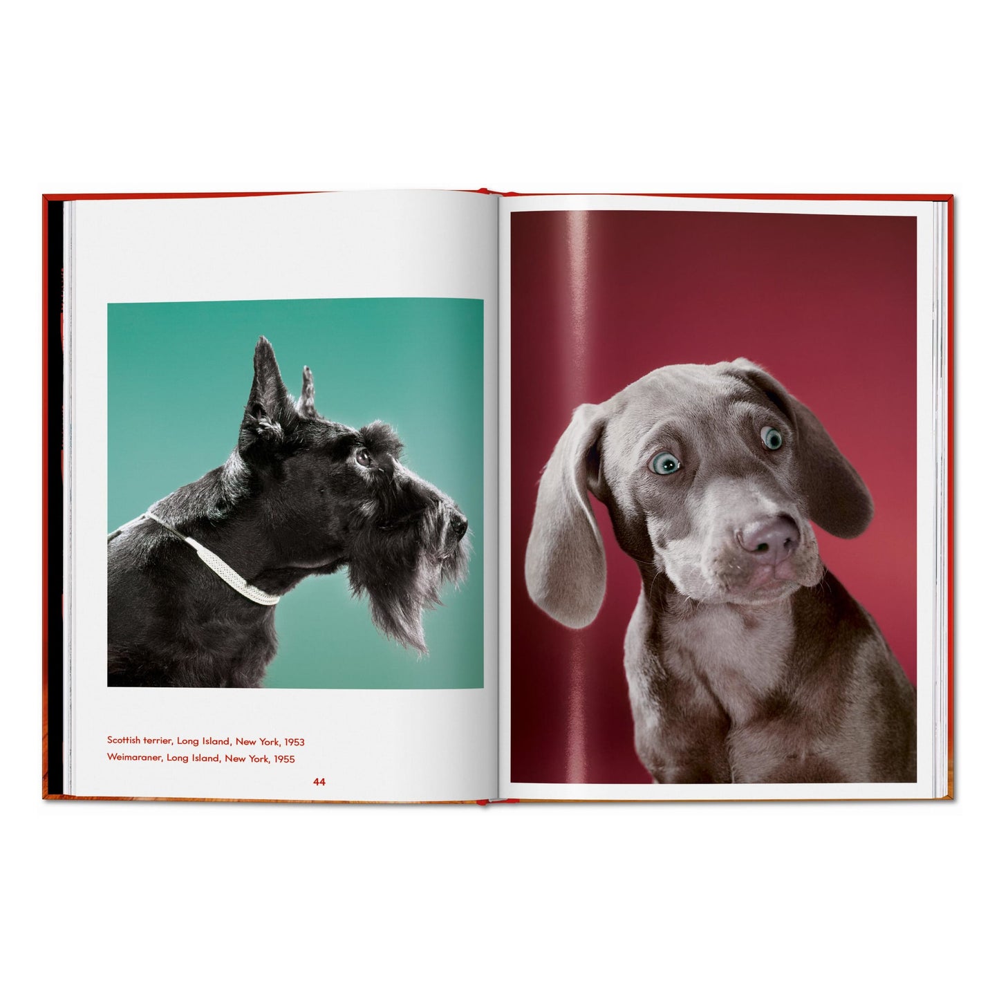 Walter Chandoha. Dogs. Photographs 1941–1991 (English) Book