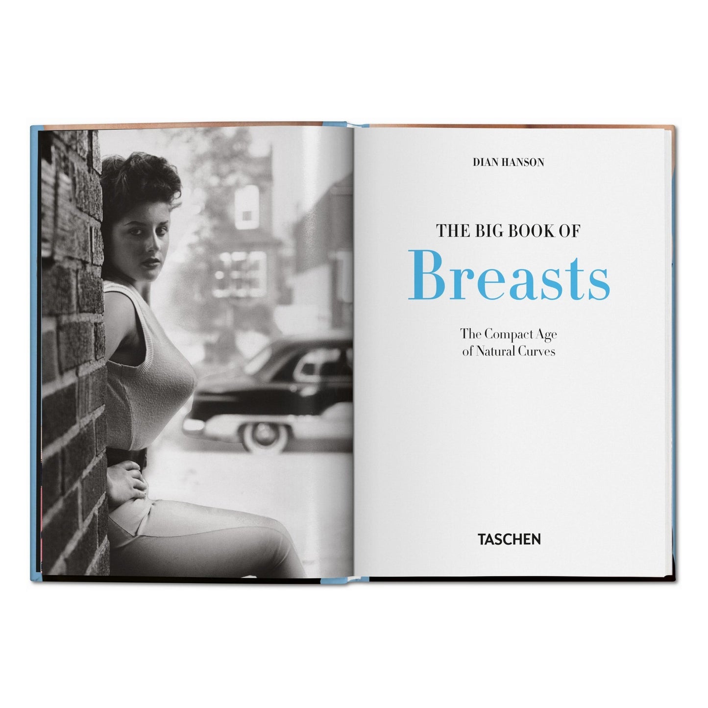 The Little Big Book of Breasts (German, French, English) Book