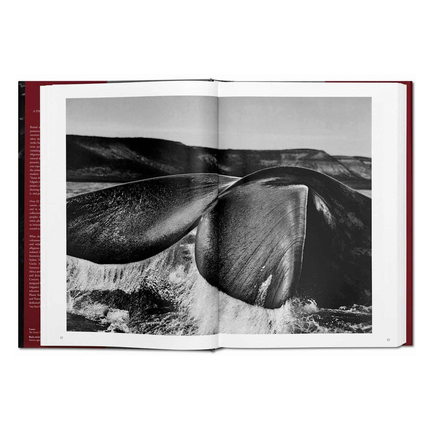 Sebastião Salgado. Genesis (English) Book