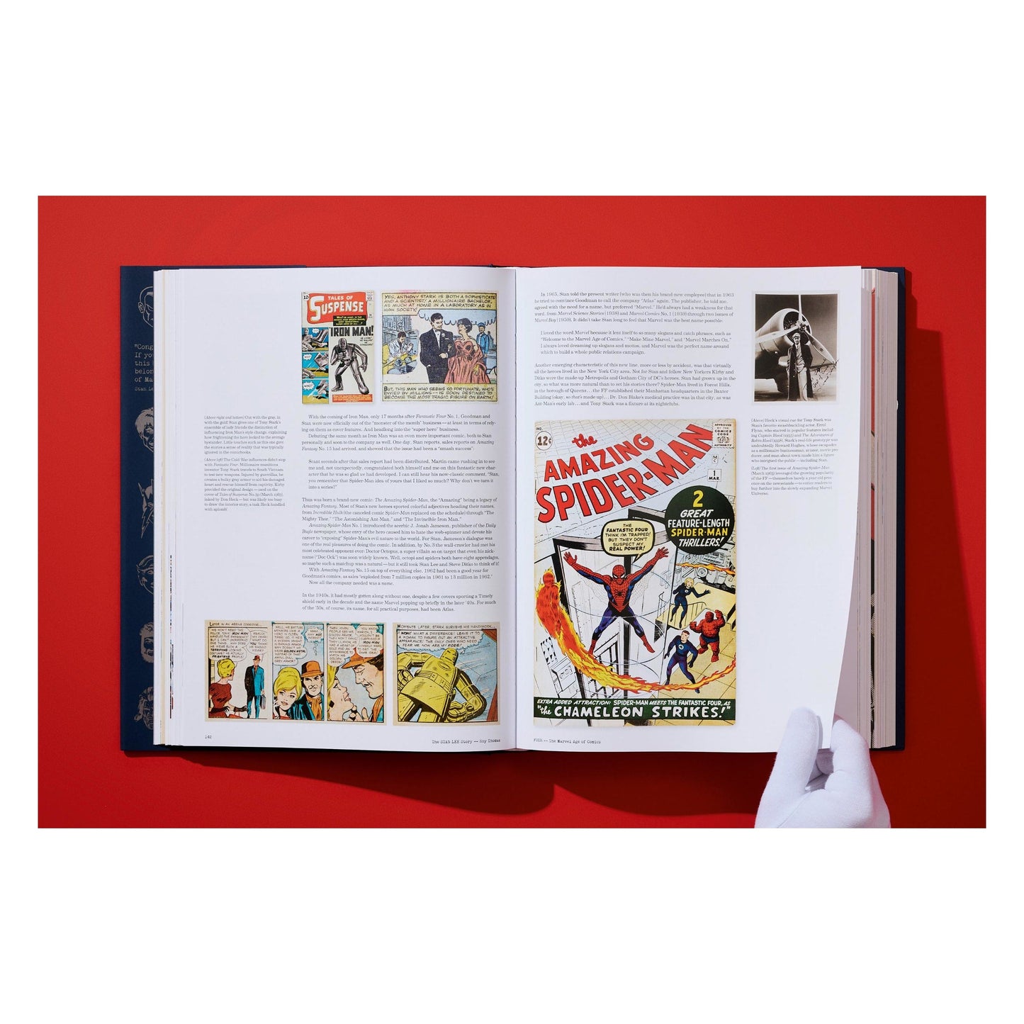 The Stan Lee Story (English) Book