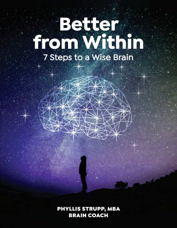 Better from Within: 7 Steps to a Wise Brain Book