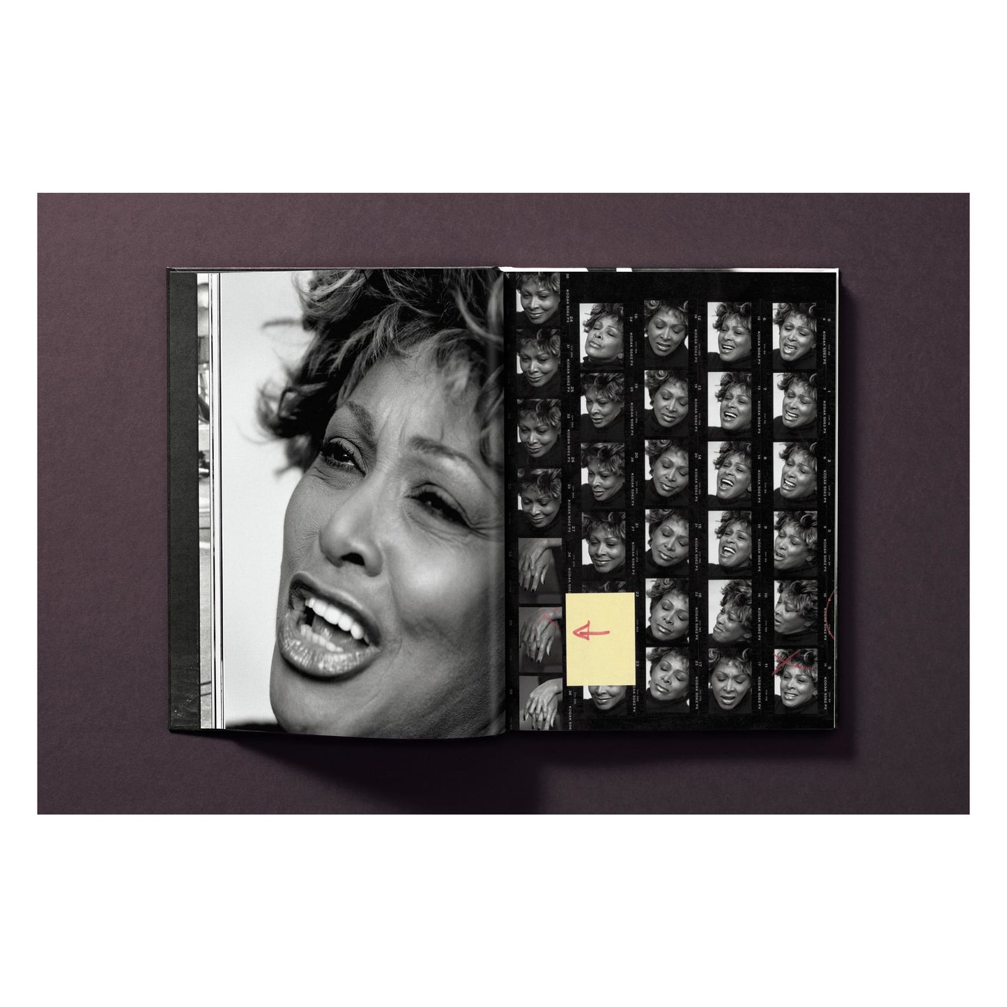 Tina Turner by Peter Lindbergh (German, French, English) Book