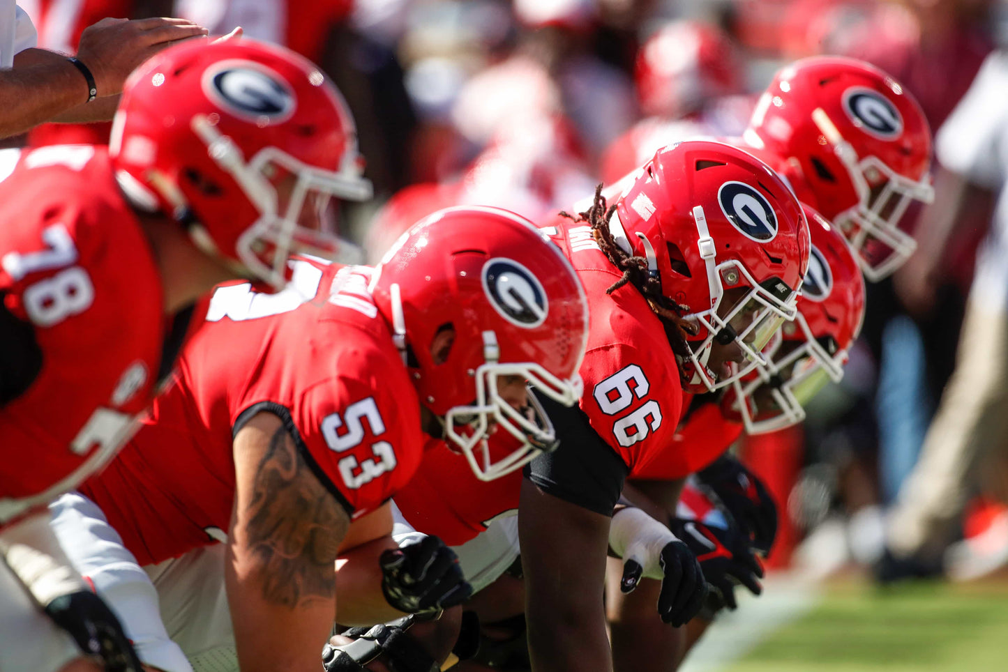 Glorious: Georgia Secures Its Second Consecutive National Title with a Perfect Season Book