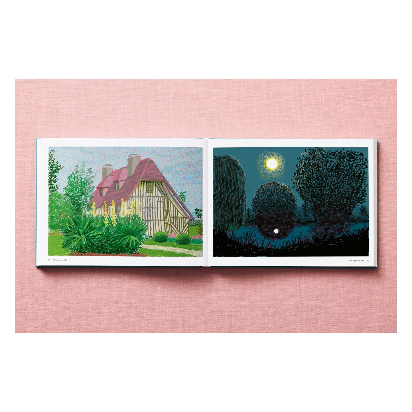 David Hockney. 220 for 2020 (English) Book