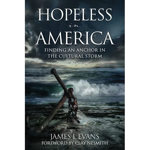 Hopeless in America: Finding an Anchor in the Cultural Storm