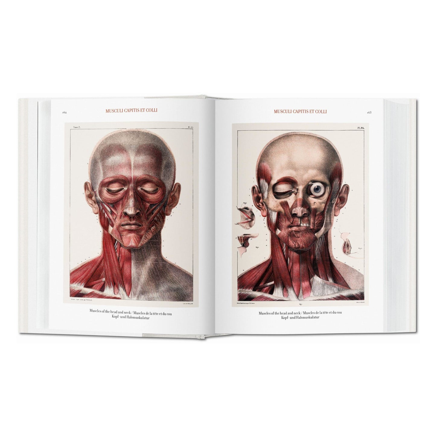 Bourgery. Atlas of Human Anatomy and Surgery (German, French, English) Book