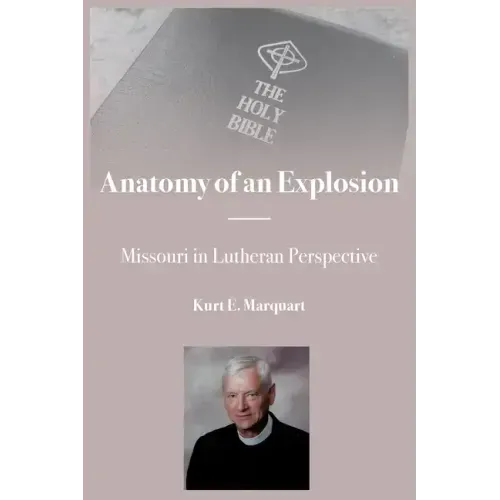 Anatomy of an Explosion