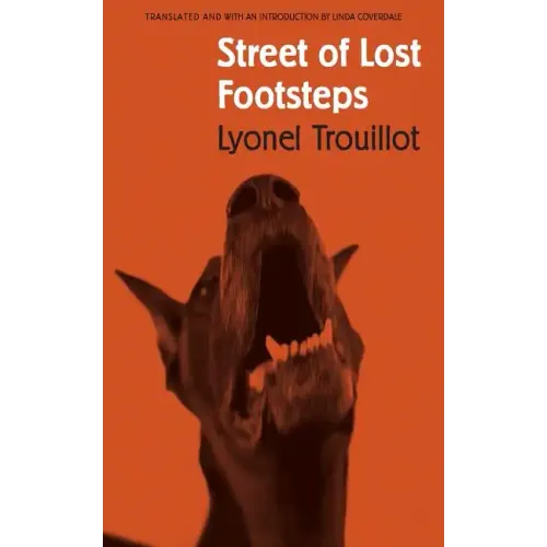 Street of Lost Footsteps: Rue Des Pas-Perdus