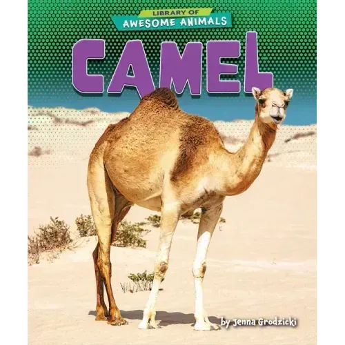 Camel