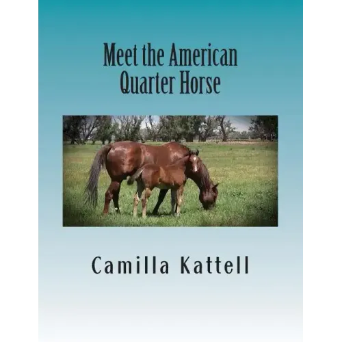 Meet the American Quarter Horse