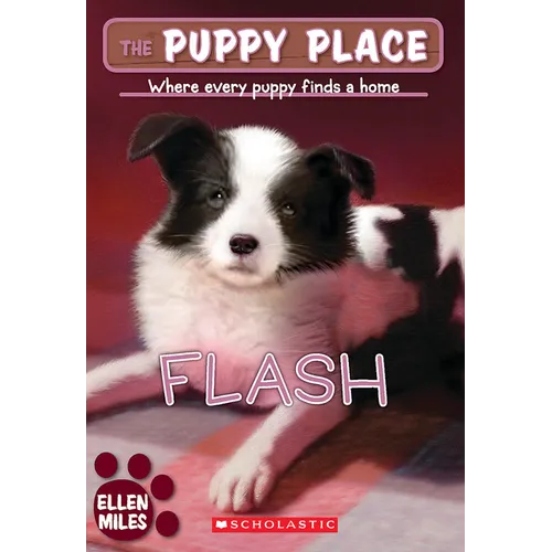 Flash (the Puppy Place #6)