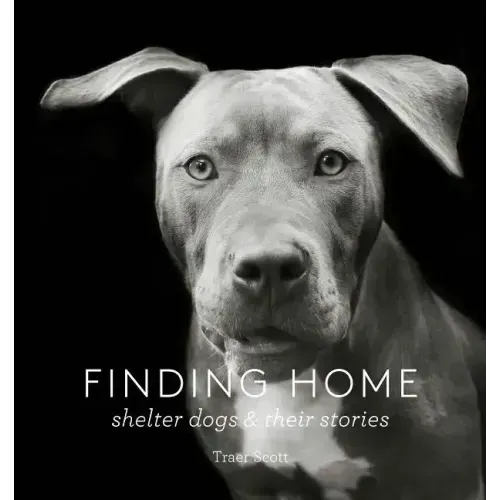Finding Home: Shelter Dogs and Their Stories