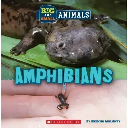 Amphibians (Wild World: Big and Small Animals)