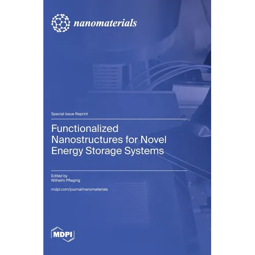Functionalized Nanostructures for Novel Energy Storage Systems