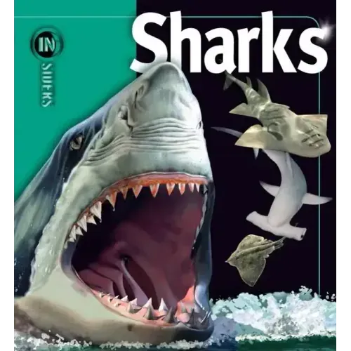 Sharks