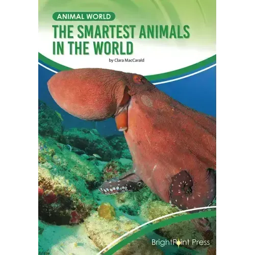 The Smartest Animals in the World