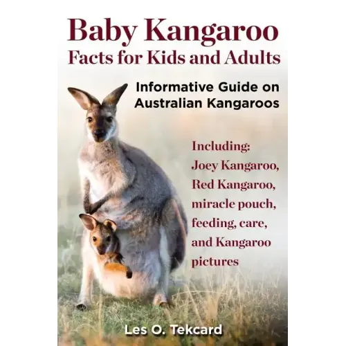 Baby Kangaroo Facts for Kids and Adults