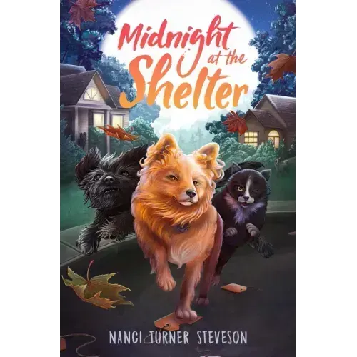 Midnight at the Shelter