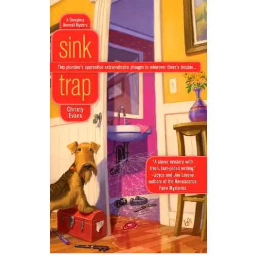 Sink Trap