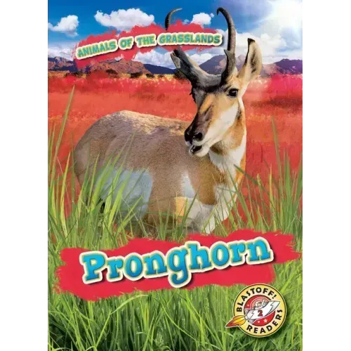 Pronghorn