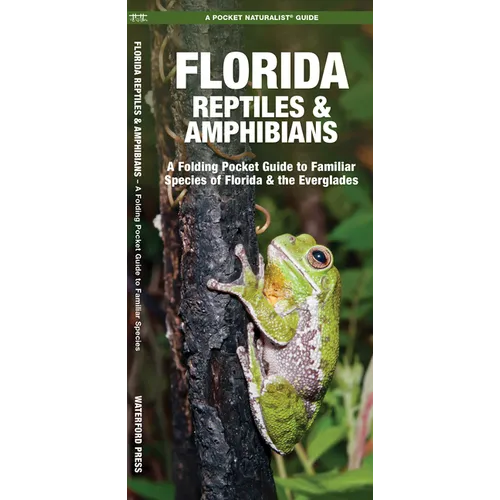 Florida Reptiles & Amphibians: A Folding Pocket Guide to Familiar Species of Florida & the Everglades