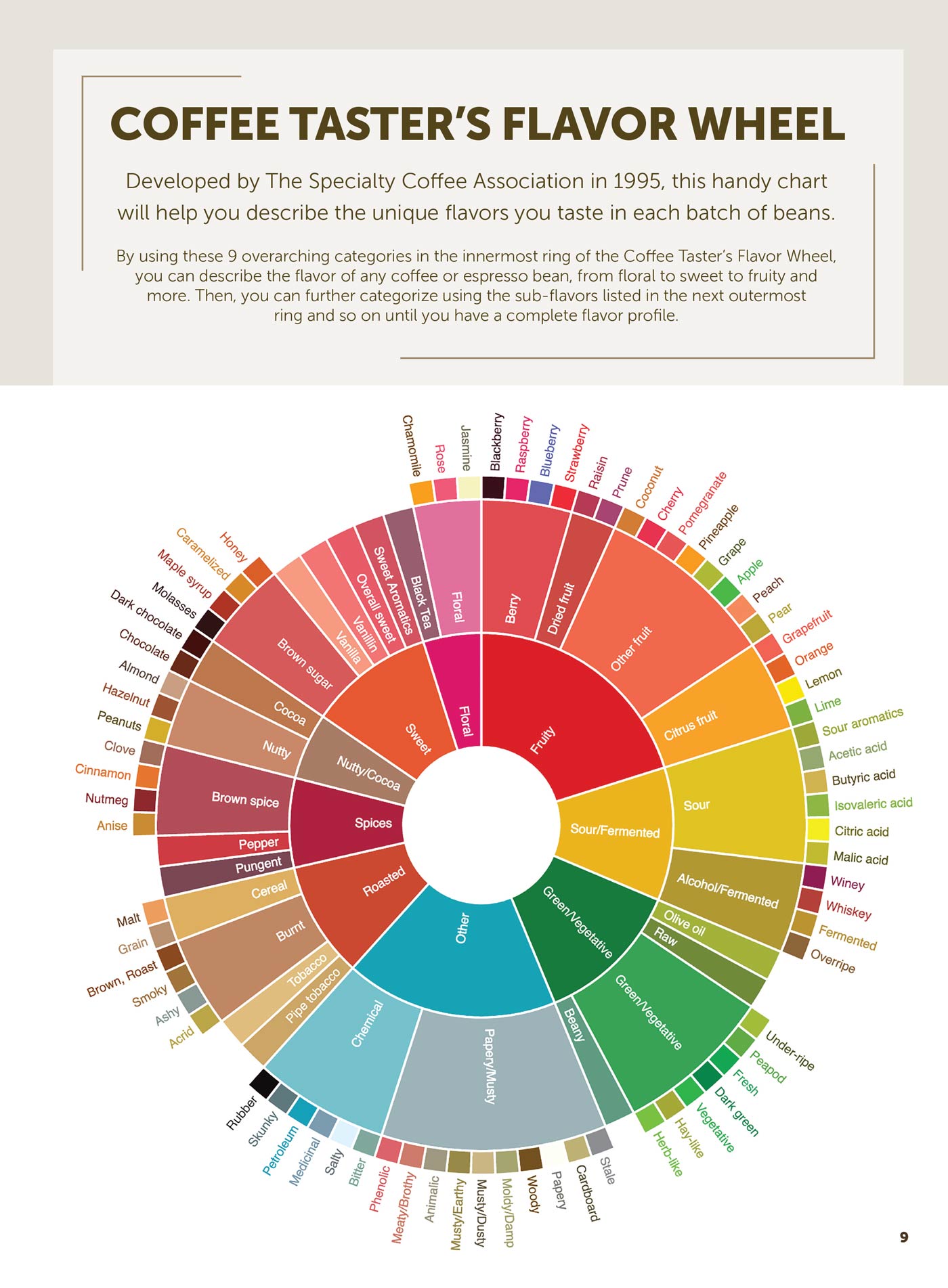Coffee Lovers Guide - Unleash Your Passion For Coffee: Make Coffee Syrups From Scratch, Perfect Your Brew, Master Flavor Enhancements, Create Café-Quality Drinks From The Comfort Of Your Home & More!